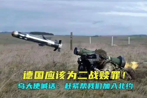 导弹防御系统表情包德国国防军